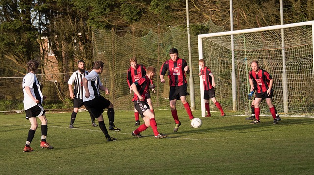 在感无疑给 在感无疑给