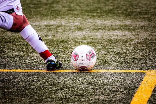 这一时期可 这一时期可